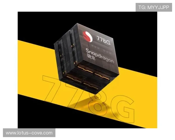 博鱼电竞官网app：全面介绍与下载指南